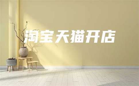 開網(wǎng)店