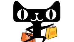 天貓店鋪類(lèi)型有哪幾種？